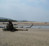 Baug Beach